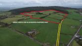 Disappointed underbidders at auction of 31 acre grassland farm in Limerick