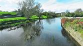 Local event to explore River Maigue’s history and heritage