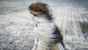 Status yellow wind warning for Clare and Kerry