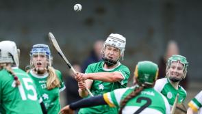 Limerick minor camogie side face Clare in final round championship tie