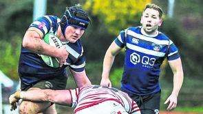 Limerick clubs chase crucial Energia All-Ireland League wins