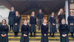 Limerick students shine in art competition thanks to illuminated memory bubbles 