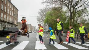 Paul O'Connell leads army of volunteers for Team Limerick Clean-Up
