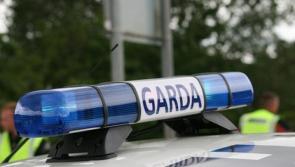 Properties searched by gardai as part of human trafficking investigation