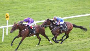 THE PUNTER'S EYE: Four horses that can create 'magic' this weekend