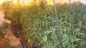 Gardaí in Listowel seize drugs worth €350K