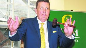 WATCH: Limerick land ‘you would walk in your slippers’ sells at auction for €1m