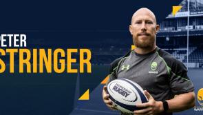 Former Munster Rugby star Peter Stringer signs for Worcester