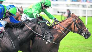 Horse Racing Ireland issue Equine Influenza update