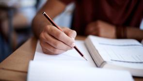 Almost 4,000 people taking part in upskilling courses in Limerick
