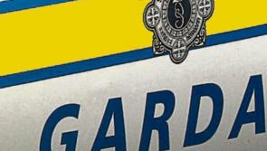 Gardaí investigating dissident republican activity seize firearms and ammunition
