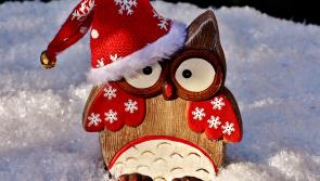 Stop here for Christmas in Limerick