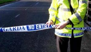 Gardaí arrest man in his 20s in relation to fatal hit and run collision