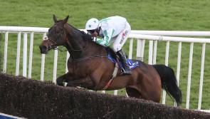 THE PUNTER'S EYE: Irish Grand National Tips and Preview 2018