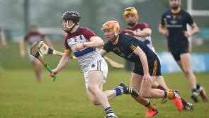 WATCH: Limerick's UL claim Fitzgibbon Cup title in win over DCU
