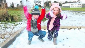 POLL: Ice work people! Vote for Limerick's best snow creations