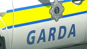 Four homes broken into in County Limerick village overnight