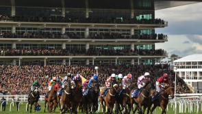 Cheltenham Festival Tips: Friday's Top Picks