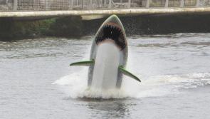 Ten reasons to check out Limerick's Riverfest this weekend