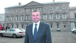 Limerick TD slams ‘scandalous’ delay of review into handling of child abuse allegations