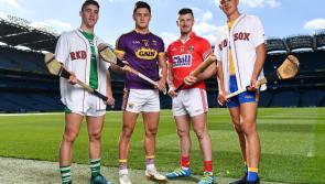 Wexford confirmed as Limerick hurling opponents in Fenway Classic in Boston