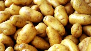 Over €3 m for chips and spuds from Irish government in run-up to St Patrick's Day