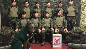 Limerick man leads Defence Forces troops into ‘toughest military exercise worldwide’