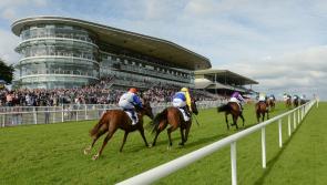Racing News: 'Off You Go' wins in Galway for Mark Enright and Charles Byrnes