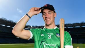 Limerick hurlers finalise panel for Fenway Classic in Boston