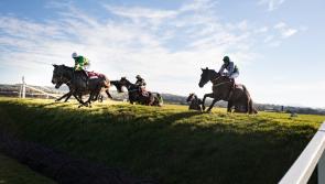 Limerick's Enda Bolger seals Cheltenham and Punchestown double