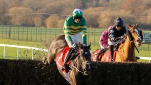 Matchbook Betting Exchange to sponsor Limerick Racecourse's Grade 1 Novice Chase