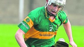 Limerick champions Cappamore book Munster hurling final spot with Whites Cross victory