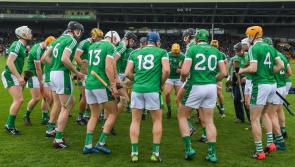 42-man Limerick hurling panel for 2019 includes seven newcomers