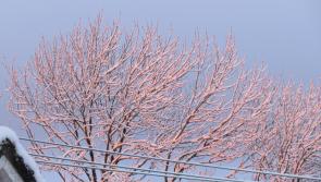 REVEALED: Counties most likely to have snowfall on Christmas Day