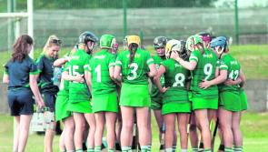 Limerick seek to continue winning run in Camogie League derby with Clare