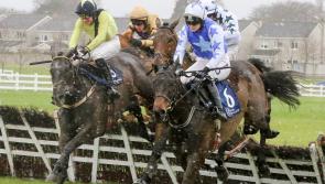 Good week of racing for Limerick's McNamara clans