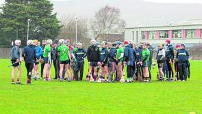 LIT awarded All-Ireland hurling title after venue stand-off with Limerick rivals UL