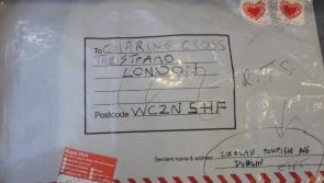 Explosive device found at Limerick postal depot 'made safe' by Army bomb disposal team