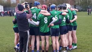 LIT could be set to offer All-Ireland hurling final replay to Limerick rivals UL