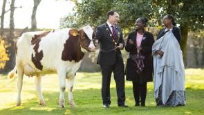 WATCH: Limerick pays tribute to victims of Rwandan horrors on 25th anniversary