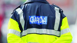 Firearms and ammunition seized at halting site in Limerick