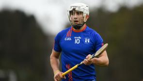 Limerick trio selected on Fitzgibbon Cup hurling Team of the Year