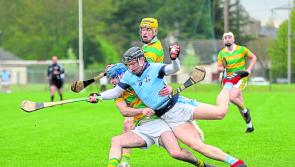 Limerick SHC Team of the Week - eight clubs represented