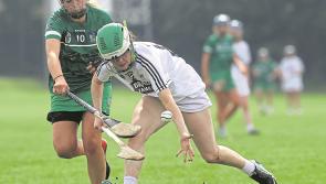 Opinion: More co-operation needed between camogie and ladies football - Jerome O'Connell
