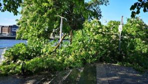 Hundreds of homes still without power in Limerick as Storm Hannah clean-up gets underway