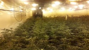 Gardai arrest woman in connection with cannabis grow house in Clare