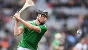 Limerick's Diarmaid Byrnes set to miss Waterford clash due to suspension