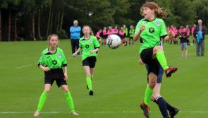 Limerick County and Limerick Desmond kick-off Gaynor Cup at UL