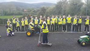 WATCH: Limerick national school dances for road safety in national competition