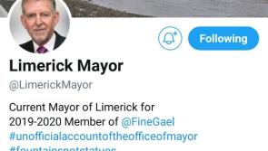 Twitter removes Limerick mayoral parody page after protest